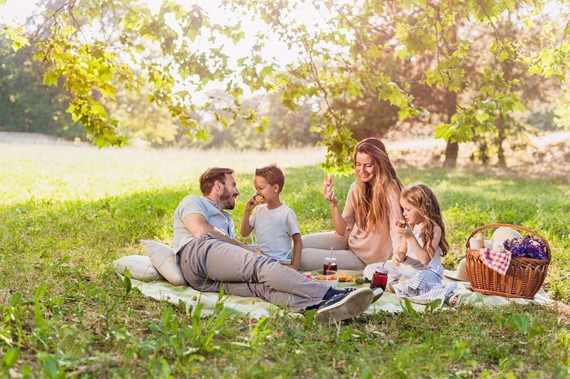 pique nique en famille seine et marne