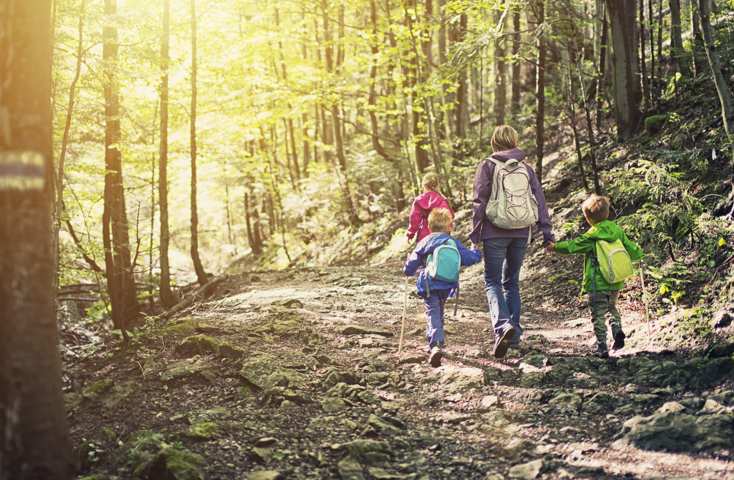 Mother and kids hiking in sunny forest