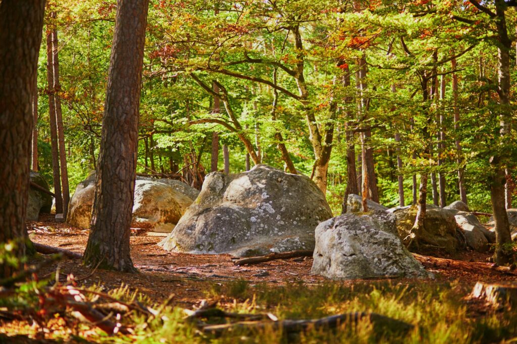 randos pays de fontainebleau pleine nature chaos rocheux seine et marne