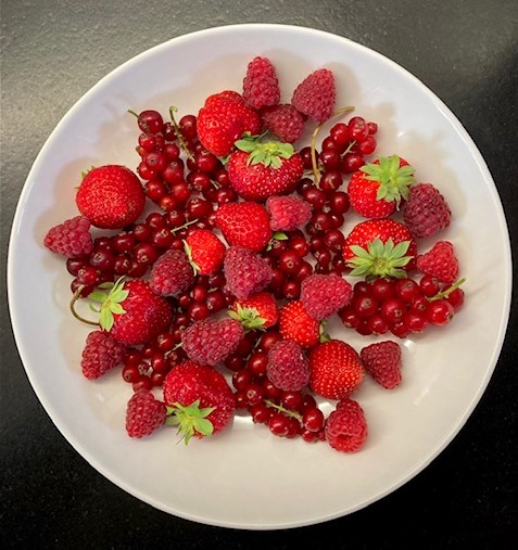 salade fruits rouges de mon jardin agriculteur local chevrainvilliers sud seine et marne