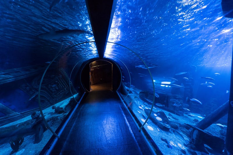 tunnel sealife aquarium serris seine et marne