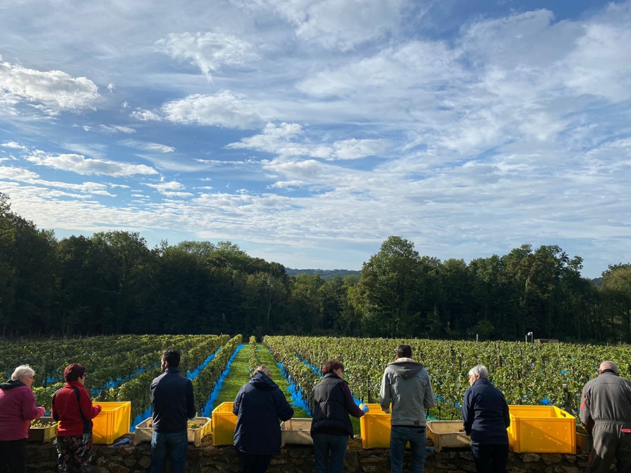 vignes produits meconnus du terroir seine et marne